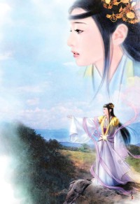 那一抹銷魂的板兒